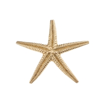 Seestern-Anstecker aus der Maris Kollektion