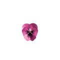 Kleine Stiefmütterchennadel in Fuchsiafarbe aus der Plantis-Kollektion, Orska-Schmuck