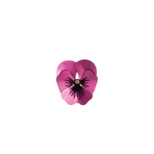 Pansy - eine kleine, rosafarbene Anstecknadel in Form einer Blume