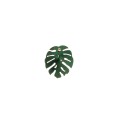 Eine kleine Anstecknadel in Form eines Blattes einer durchlöcherten Monstera - Plantis Kollektion - PLB12-1 - Orska Schmuck