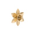 Gold-Onyx-Knopflochnadel - ORSKA Schmuck
