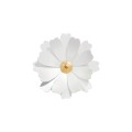 Große blumenförmige Anstecknadel - Kamille PLB26-6 ORSKA