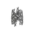 Silberring mit einem Zweig aus der Thuja-Kollektion TP42-2 ORSKA