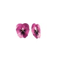Kleine, rosa Ohrringe in Stiefmütterchenform - ORSKA Schmuck