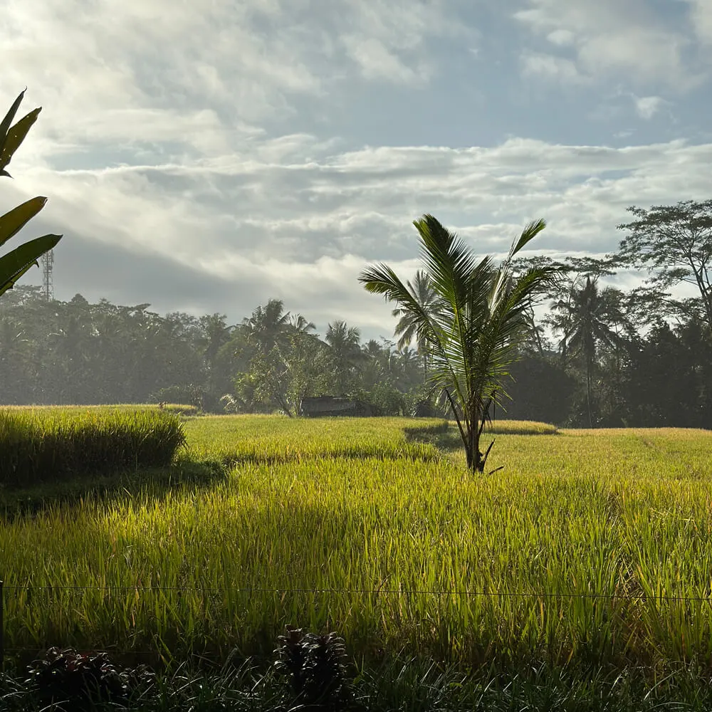 Wyspa Bali
